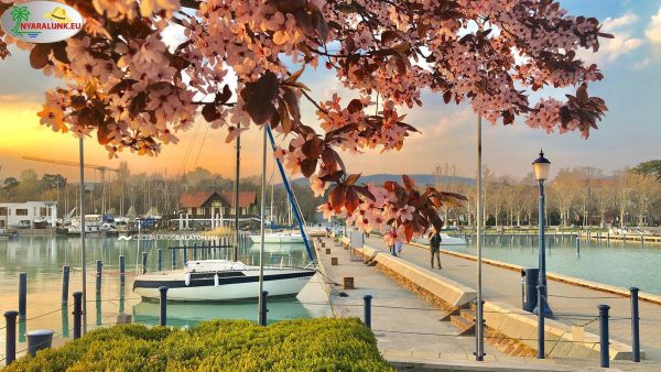 apartman kiadó siófok
